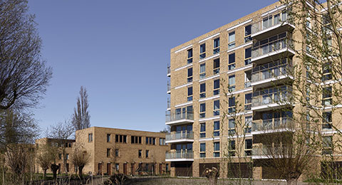 Boekweitkamp